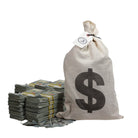 New Series $250,000 Aged Blank Filler Stacks with Money Bag - Prop Movie Money